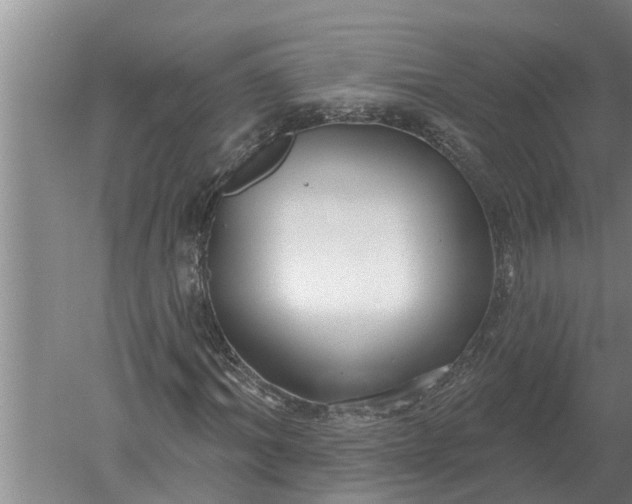 X0000052540964200507152128