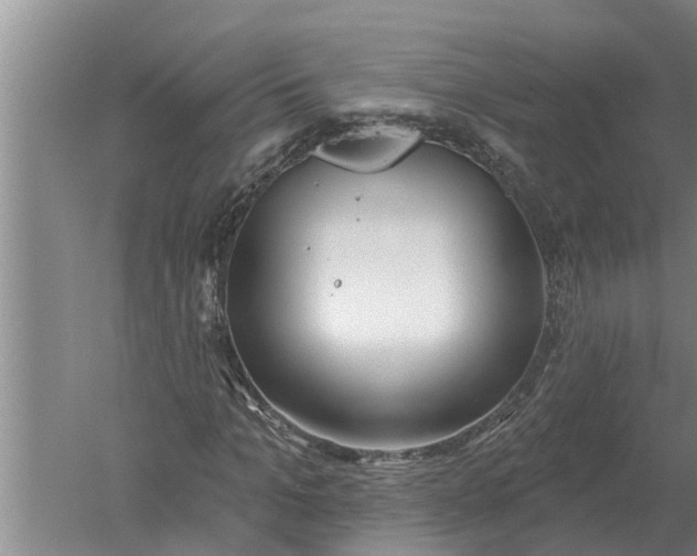 X0000052540965200507152128