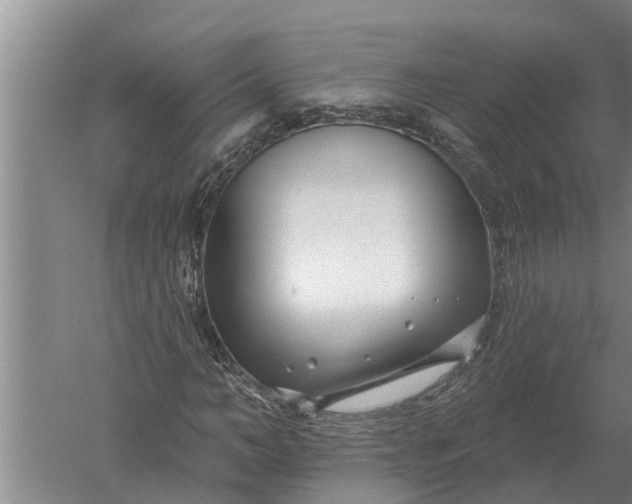 X0000052540966200507152128