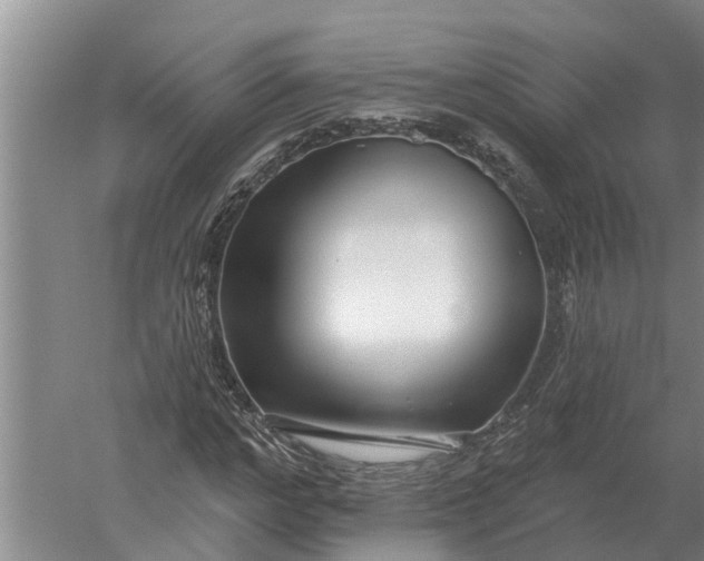 X0000052540968200507152128