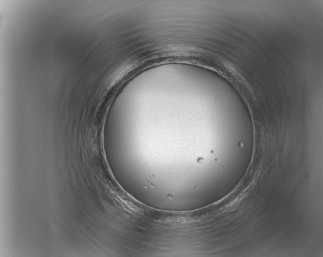 X0000052540970200507152128