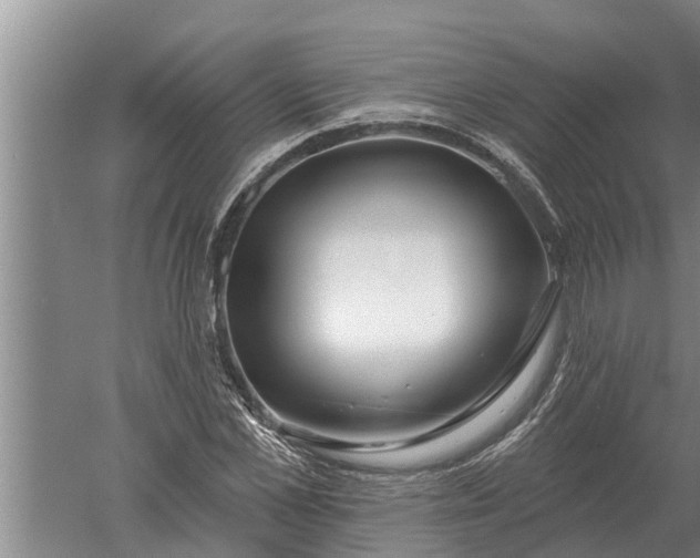 X0000052540973200507152128