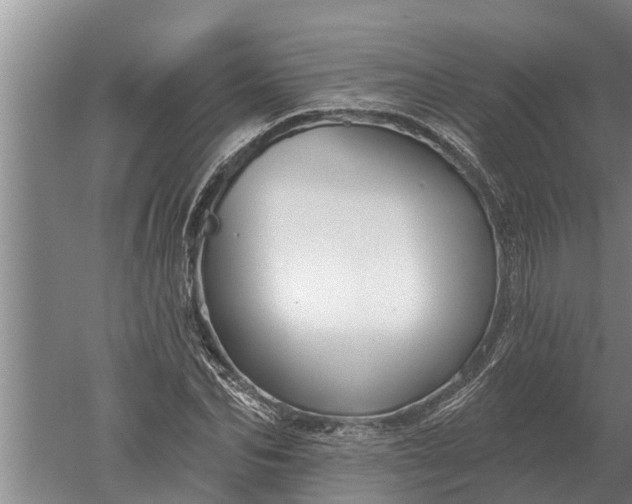 X0000052540974200507152128