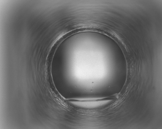 X0000052540975200507152128