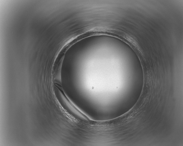 X0000052540976200507152128