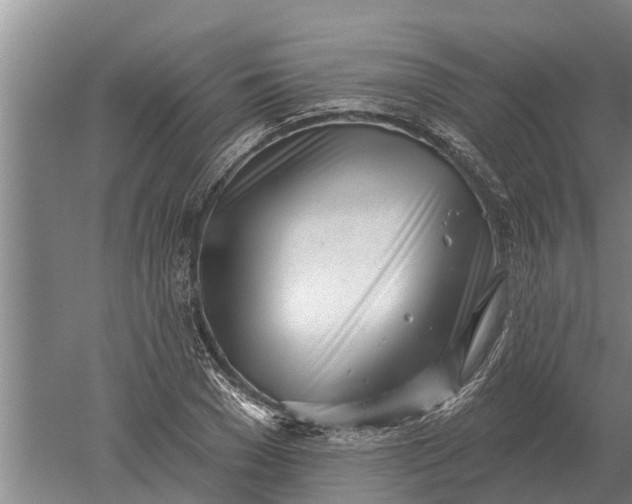 X0000052540977200507152128