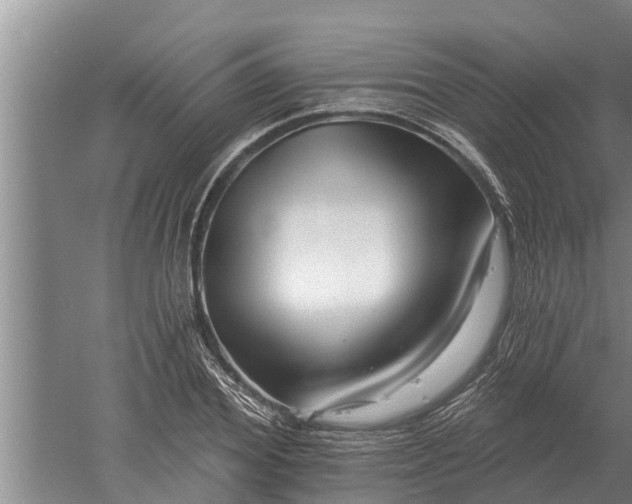 X0000052540980200507152128