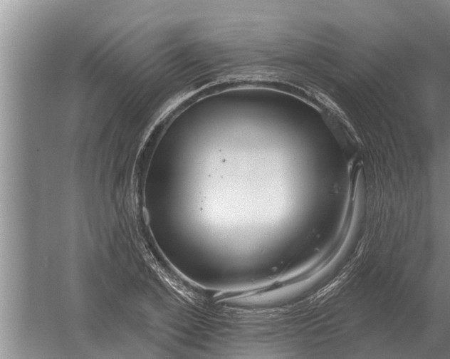 X0000052540981200507152128