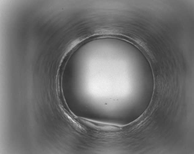 X0000052540982200507152128