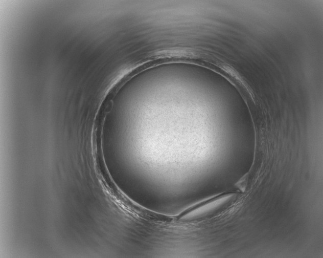 X0000052540983200507152128