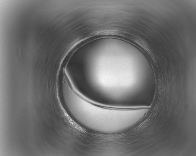 X0000052540984200507152128