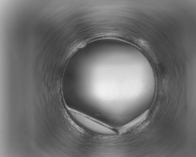 X0000052540985200507152128