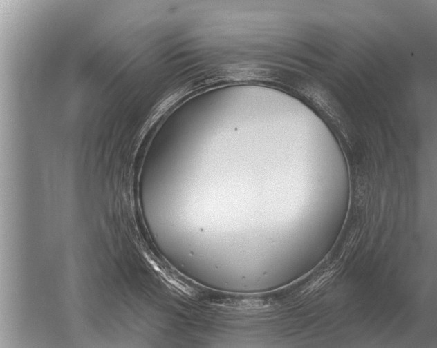 X0000052540986200507152128