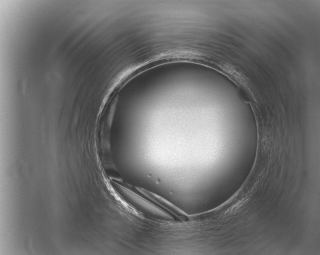 X0000052540989200507152128