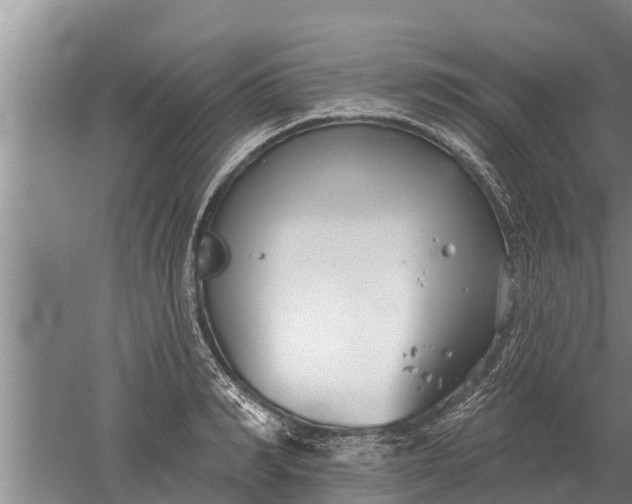 X0000052540990200507152128