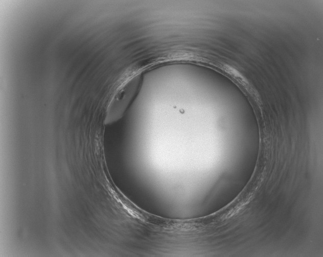 X0000052540993200507152128