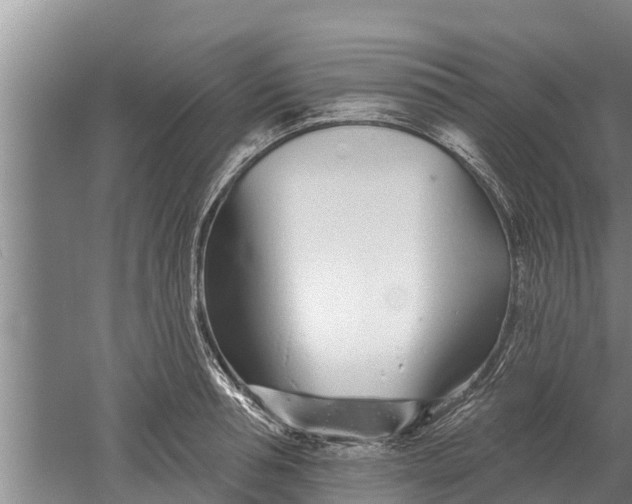 X0000052540994200507152128