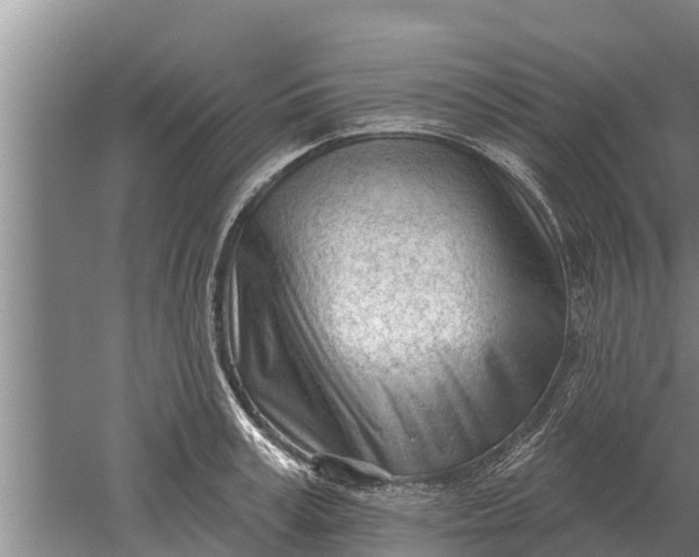 X0000052540995200507152128