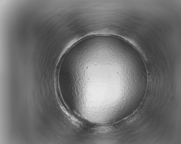 X0000052540998200507152128