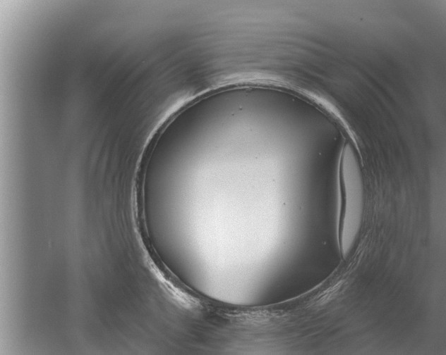 X0000052540999200507152128