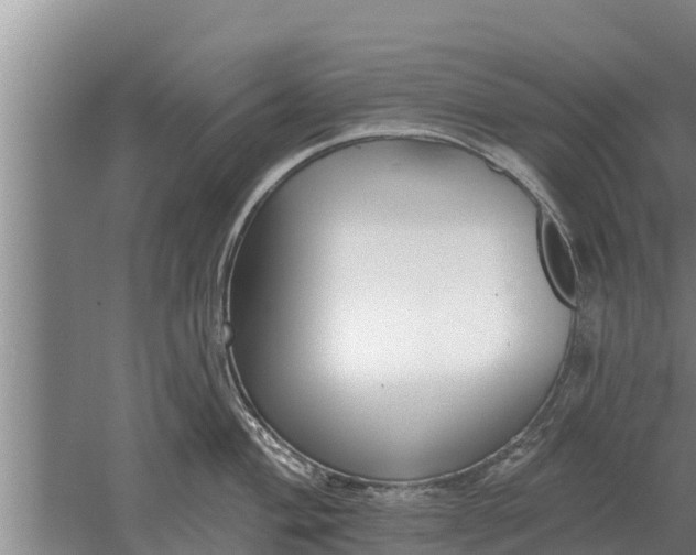 X0000052541004200507152128