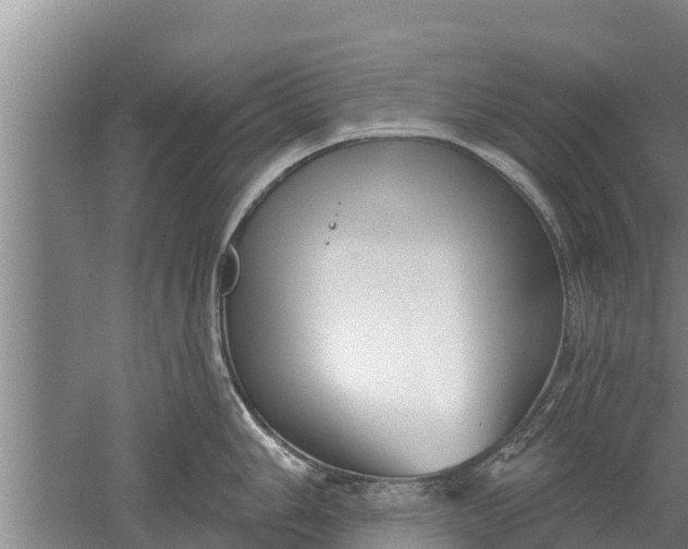 X0000052541006200507152128