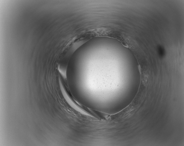 X0000052541010200507152127