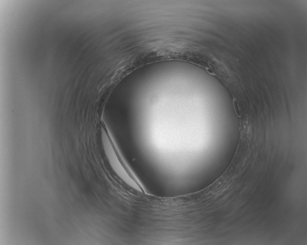 X0000052541012200507152127