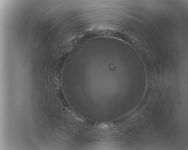 X0000052541013200507152127