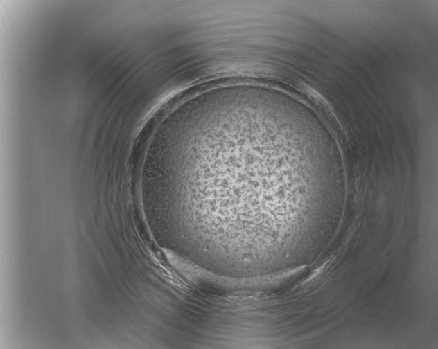 X0000052541019200507152127