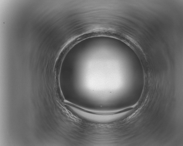 X0000052541021200507152127