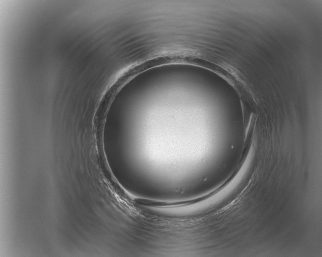 X0000052541022200507152127