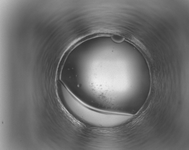 X0000052541028200507152127