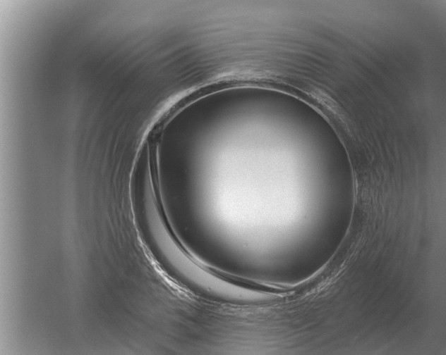 X0000052541030200507152127