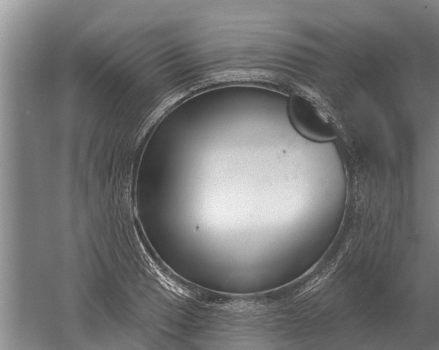 X0000052541033200507152127