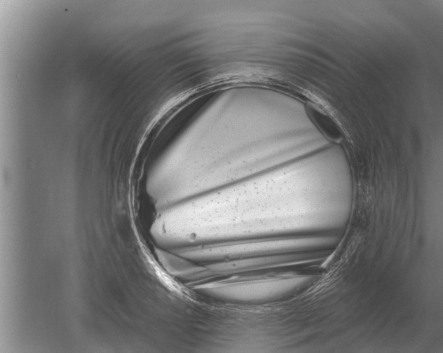 X0000052541034200507152127