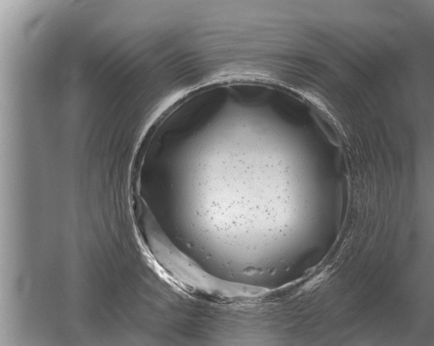 X0000052541038200507152127