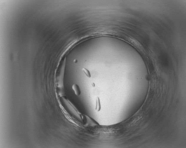 X0000052541039200507152127