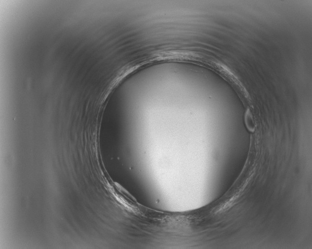 X0000052541041200507152127