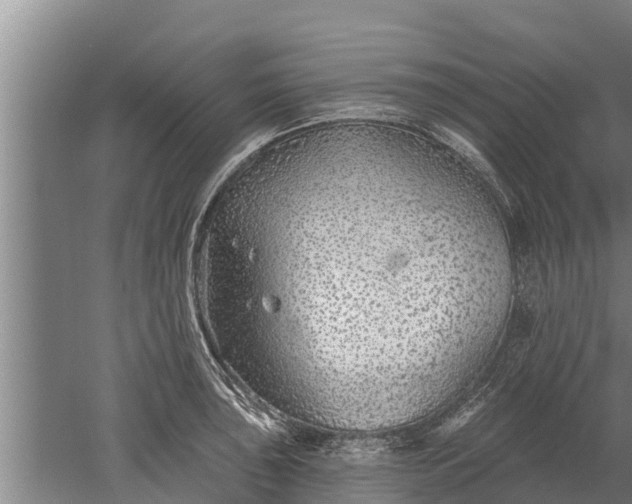 X0000052541043200507152127