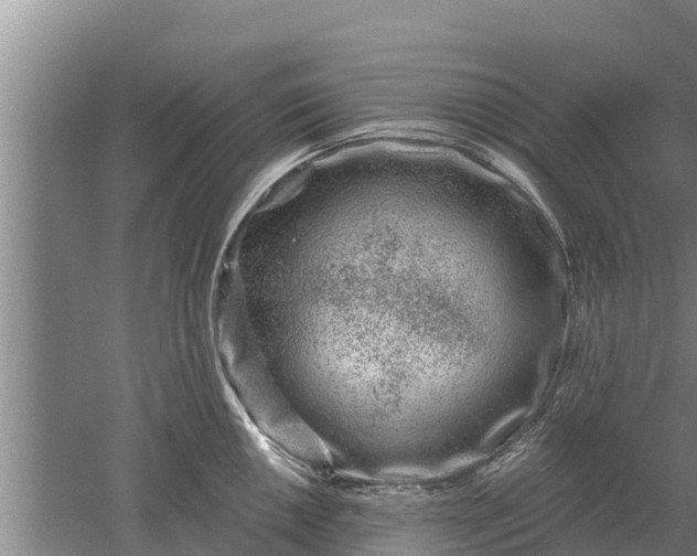 X0000052541050200507152128