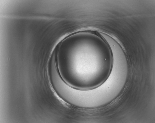 X0000052541054200507152128