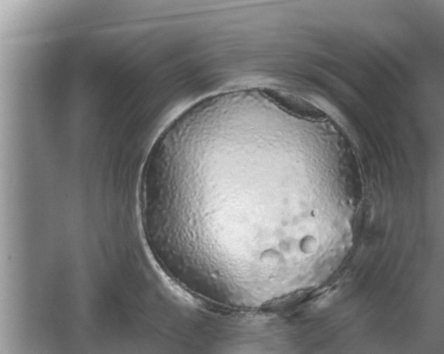 X0000052541055200507152128