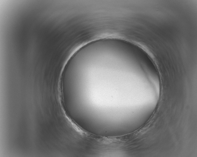 X0000052541056200507152128