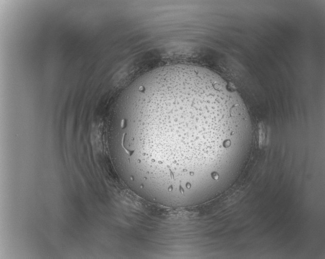 X0000052541059200507152127