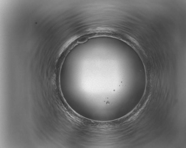 X0000052541066200507152127