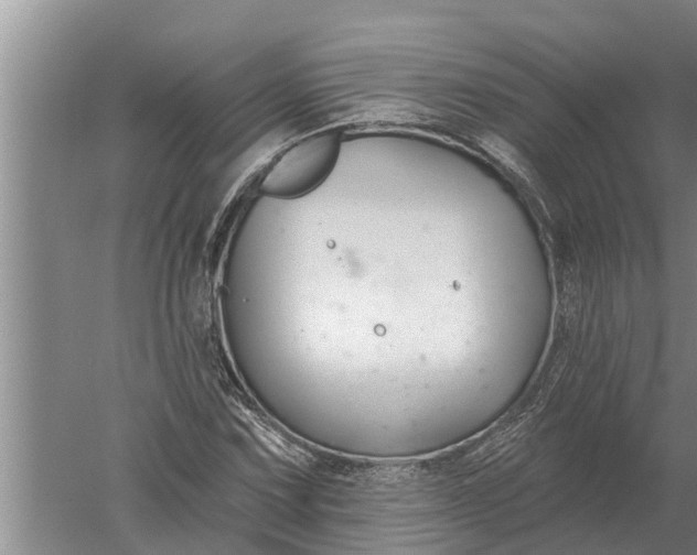 X0000052541067200507152127