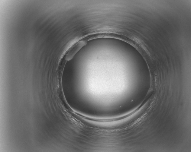 X0000052541069200507152127