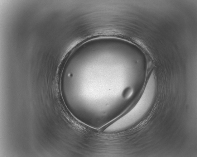 X0000052541071200507152127