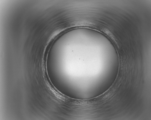 X0000052541072200507152127